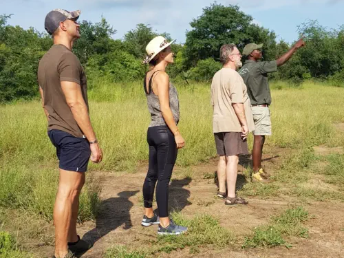 Bush Walks on the Guernsey close to Orpen Gate